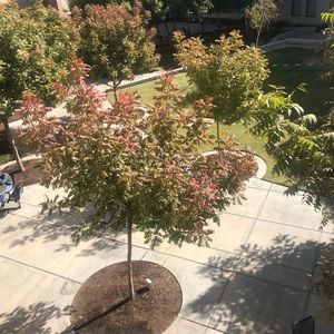 Meet your Posher, Joe